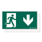 ZUM    PURESIGN 150 AD/ED/TEC LED 2RZ-1U 