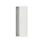 Striebel Wandschrank leer 2FB        A29 