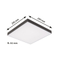 Paulmann Pan Velora Rainbow 295    79907 