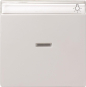 GIRA 067003 Wippe Kontrollfenster+BSF 
