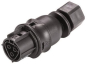 Wieland Buchsenteil   RST20I3F B2 M13 SW 