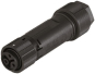 Wieland              RST16I3 S B1 ZT3 SW 