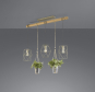 TRIO Pendelleuchte PLANT,3x    301000367 