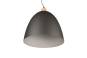 Trio Pendelleuchte JAGGER      R30681932 