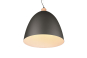 Trio Pendelleuchte JAGGER      R30681932 