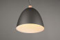 Trio Pendelleuchte JAGGER      R30681932 