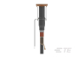 Rayc Stecker gerade Typ A    RSSS-525B-E 