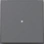 GIRA 329067 Wippe Kontrollfenster TX_44 