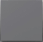GIRA 349667 Wippe gerade TX_44 Anthrazit 