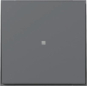 GIRA 349067 Wippe gerade Kontrollfenster 