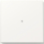 GIRA 329066 Wippe Kontrollfenster TX_44 