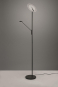 Trio LED-Stehl BRANTFORD 30W   425610232 