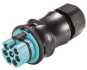 Wieland             RST20I7S S1 ZR2 TB04 