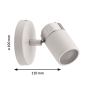 Paulmann Spotlight Zyli IP44       66710 