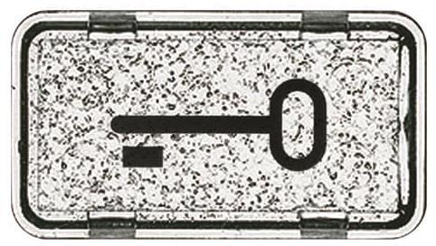 BJ APWG Symbol Schlüssel 2622TR-101 für Allwetter + ocean - 151718