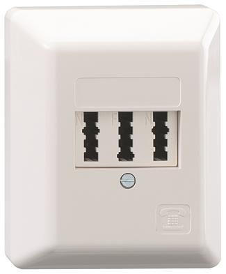 RB Telefondose TAE 3x6 NFN AP reinweiss 102 101 09 RB Telefondose TAE 3x6 NFN AP reinweiss 102 101 09