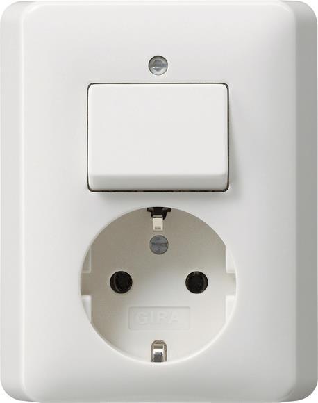 GIRA 017603 Kombi Aus-Wechsel/SCHUKO Vollplatte Standard 55 Reinweiß glänzend
