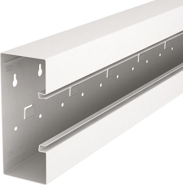 OBO GS-S70170RW Geräteeinbaukanal symmetrisch St rws 2 3274553 (BILD1)