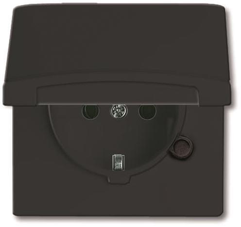 BJ UPWG Allwetter Schuko 20 EUGK-35-101 mit Klappdeckel anthrazit - 3887057
