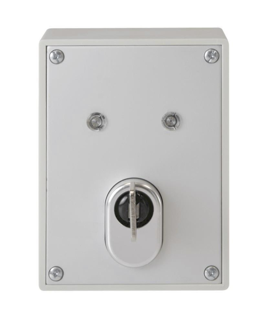 ABUS AP-Schlüsselschalter SE1000