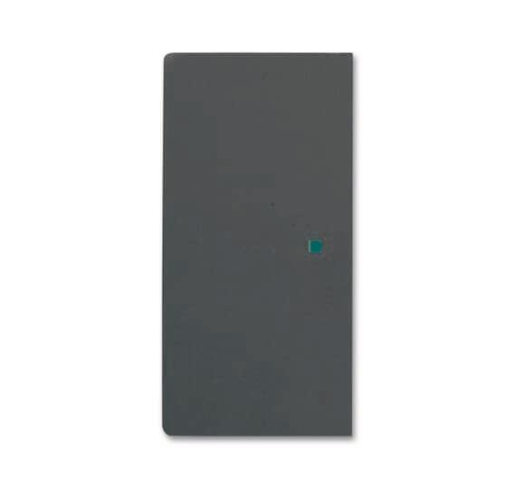 BJ Wippe 2f schwarz matt 6230-20-885 Busch-free@home future linear - 4701251
