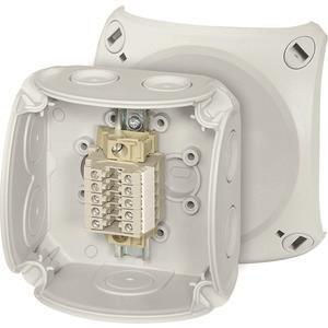 Hensel Reihenklemmenkasten, 5 RK 0205 T Klemmen WKM 2,5qmm, (Inhalt 5 - 4838704