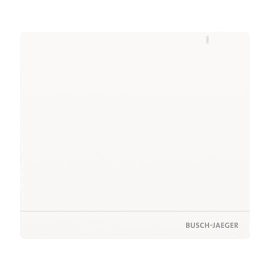 BJ System Access Point 2.0 SAP/S.13 Busch-free@home Systemkomponenten/ - 5702116
