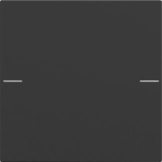 4010337110903 - GIRA 5751005 Wippenset 1fach Tastsensor4 System 55 Schwarz matt (lackiert) 4010337110903 - GIRA 5751005 Wippenset 1fach Tastsensor4 System 55 Schwarz matt (lackiert)