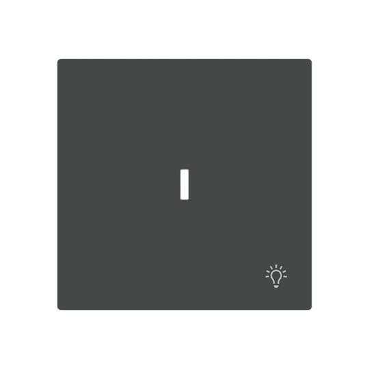 4011395320396 - BJ 1789 LI-45M - Wippe mit Symbol Licht mit transparenter Kalotte