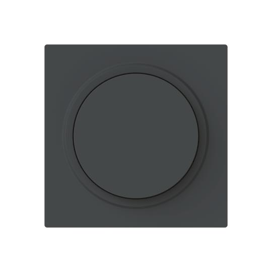 BJ 6540-45M-102 Zentralscheibe-Drehdimmer m.Drehknopf