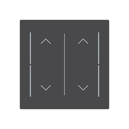 BJ Abdeckung als LFAW/A.2.70.11-45M Wippe 2-fach m.Symbol 