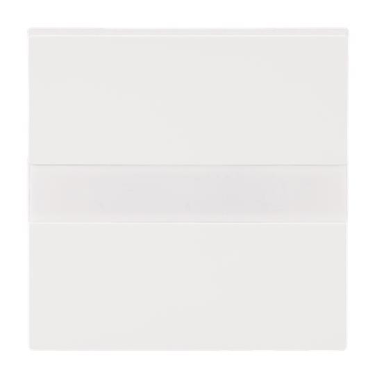 BJ Busch-Komfortschalter flex 64765-44G m.Orientierungslicht Schaltermat/Geb.Steu