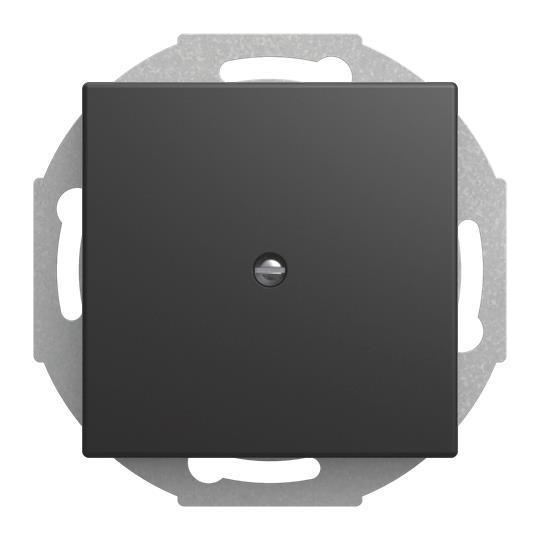 BJ Zentralscheibe schwarz matt 2527-915 Leitungsauslass 1f Mit Zugentlastung