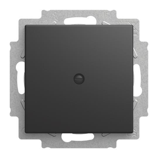 BJ Blindzentralscheibe 2538-915 m.Tragring Busch-balance SI schwarz matt