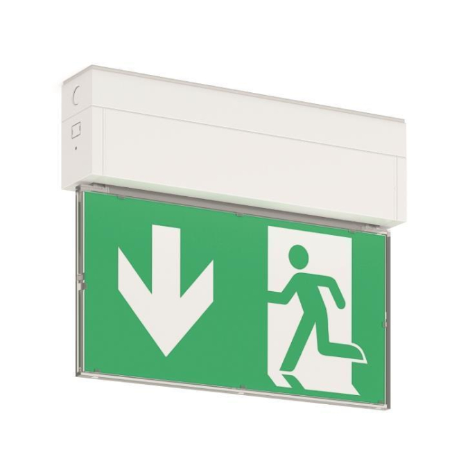 RZB Notleuchte GSUN-S 2W ws 652804.002 1/3/8h 24m Wand/Decke m.Scheibe, NFC Innenleuchten